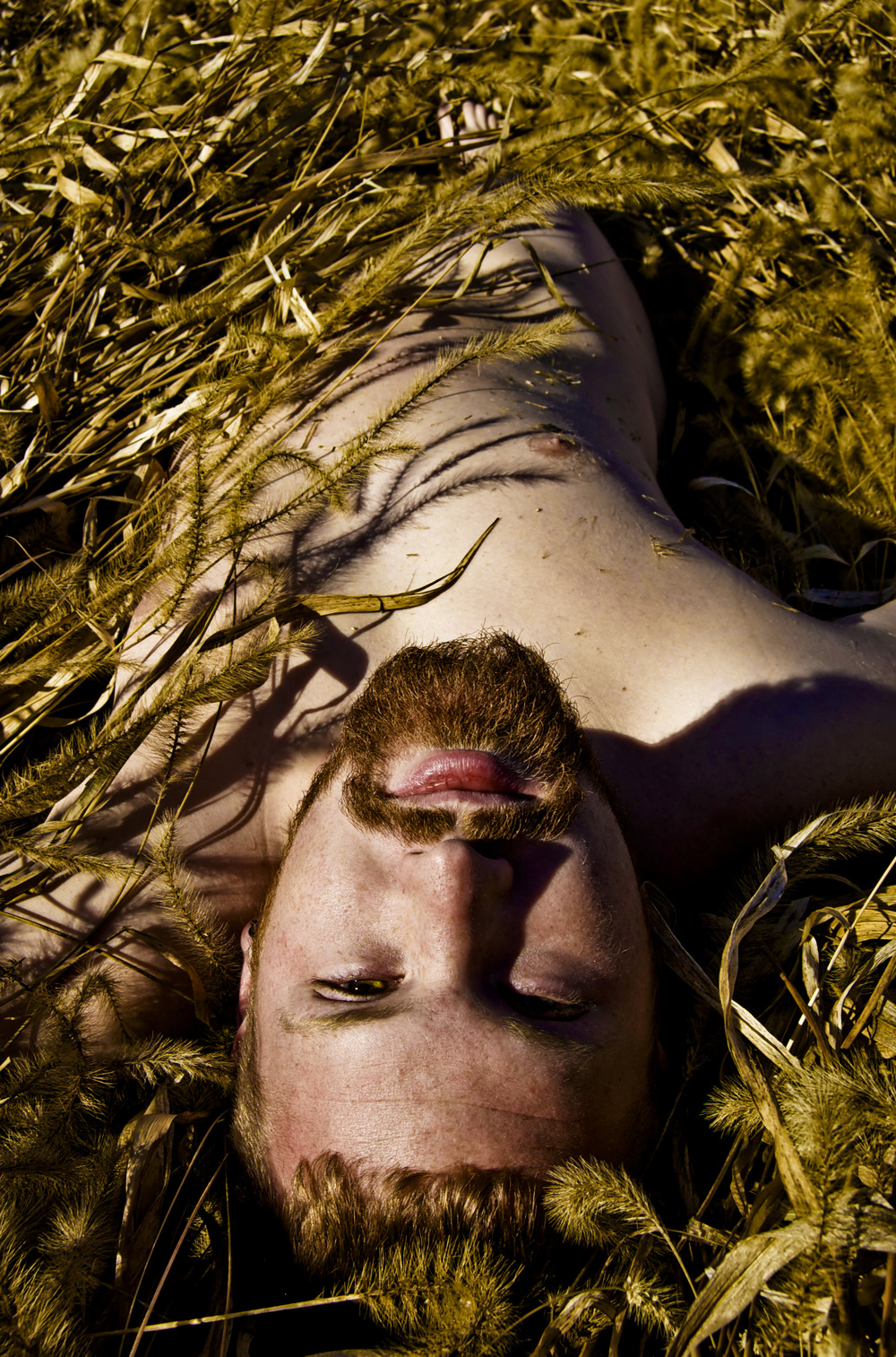 Human Nature - Straw Bed