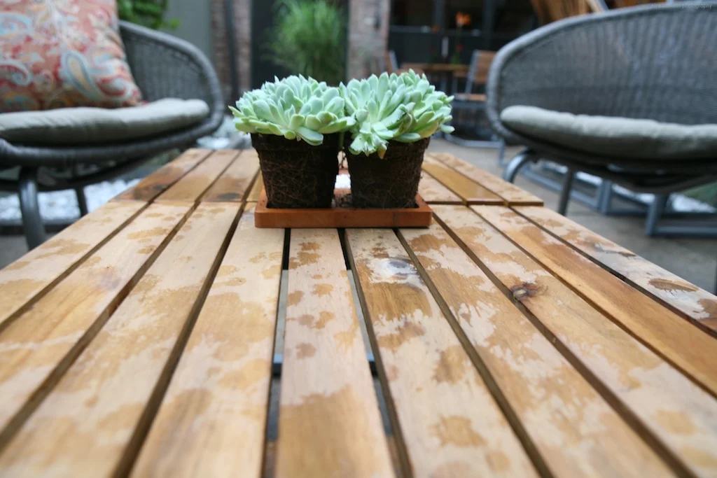 "Brooklyn landscape project featuring multiple entertaining options"
