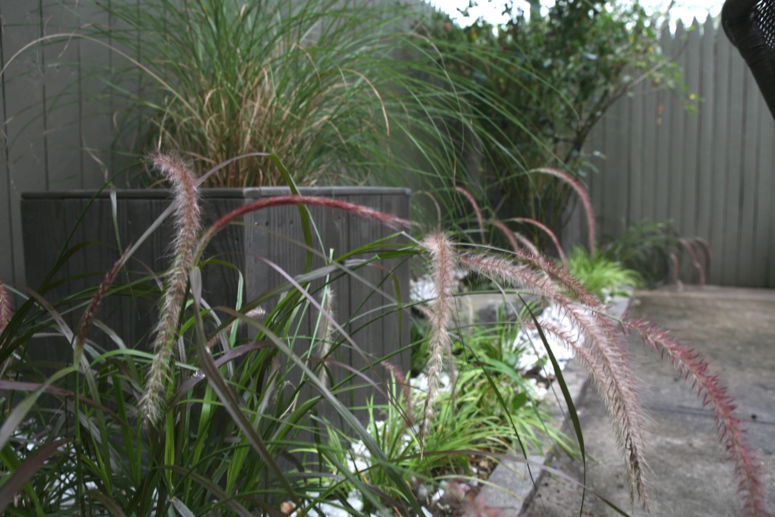 "Brooklyn landscape project featuring multiple entertaining options"