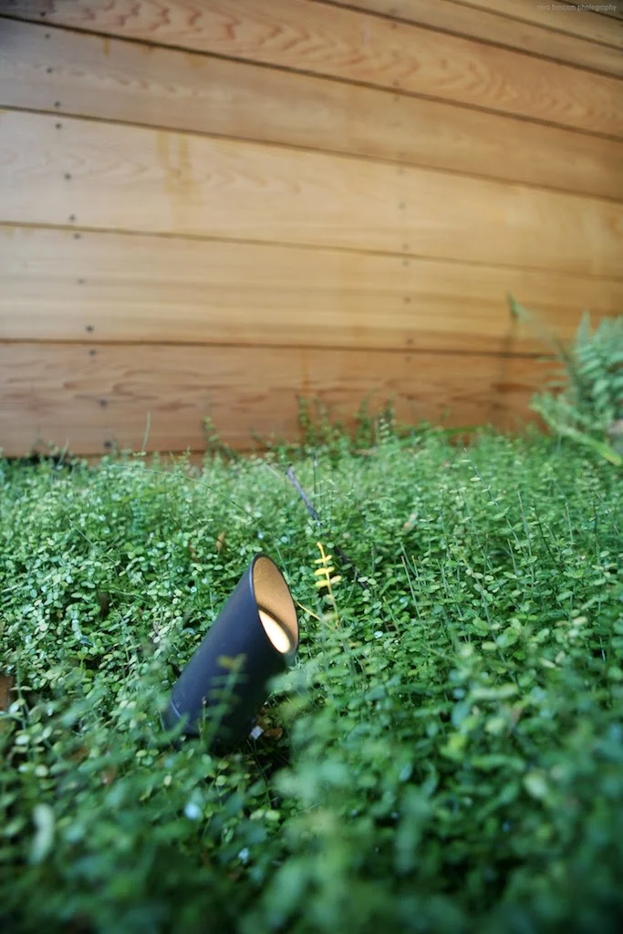 Spring where are you? A peek at our client's newly transformed backyard featuring spotlights by Hinkley. All after photos by: Niya Bascom Photography