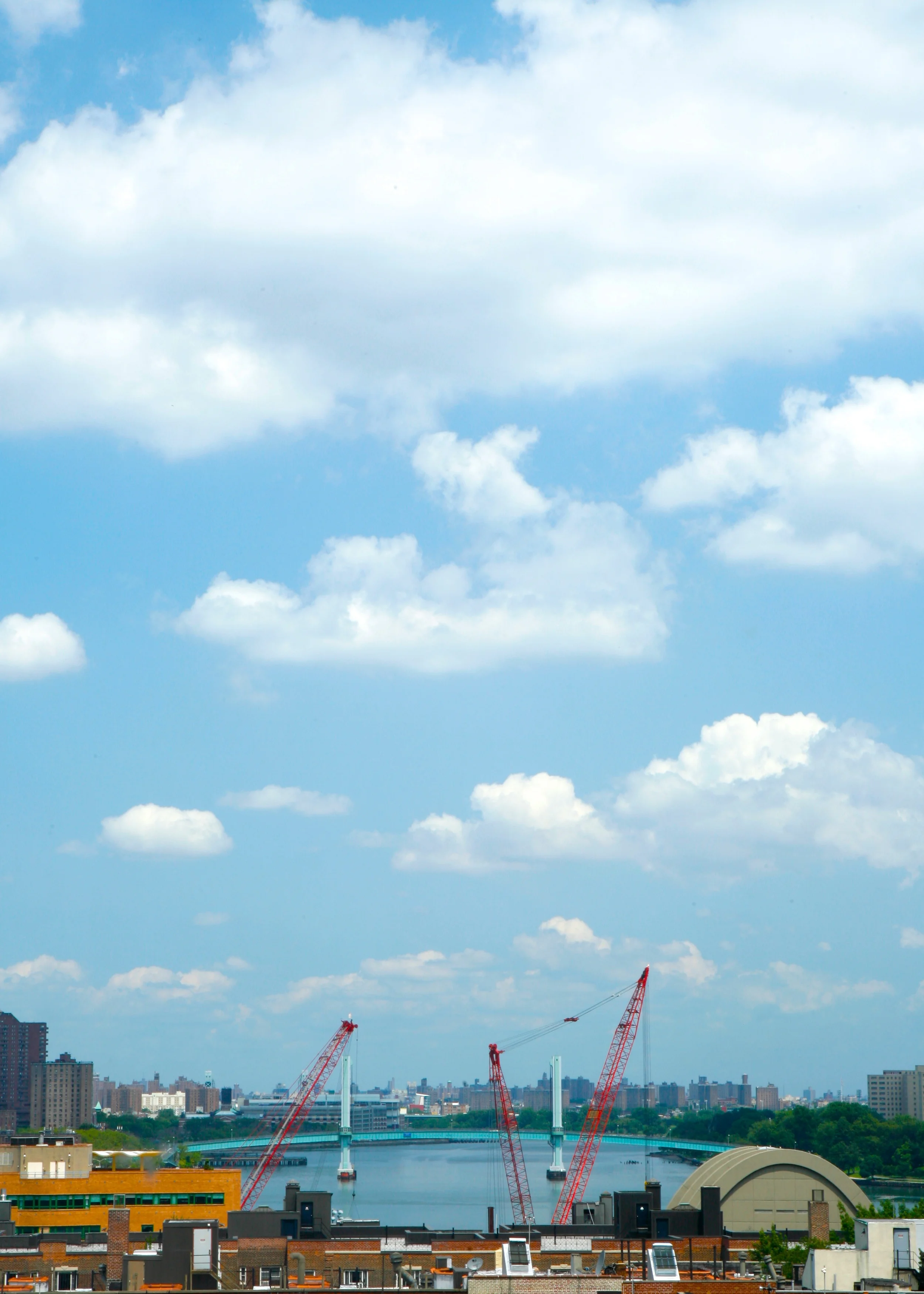 All photos by Niya Bascom Photography; Client's river view. Btw, there is something about cranes that always gets me, whether on a dock or in the middle of the city.