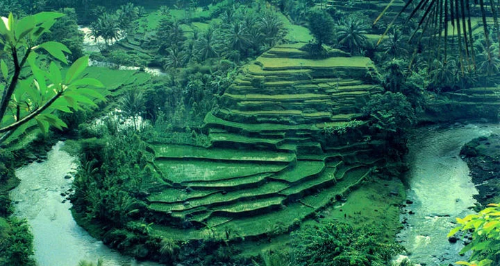 9. Rafting on the Ayung River, Ubud