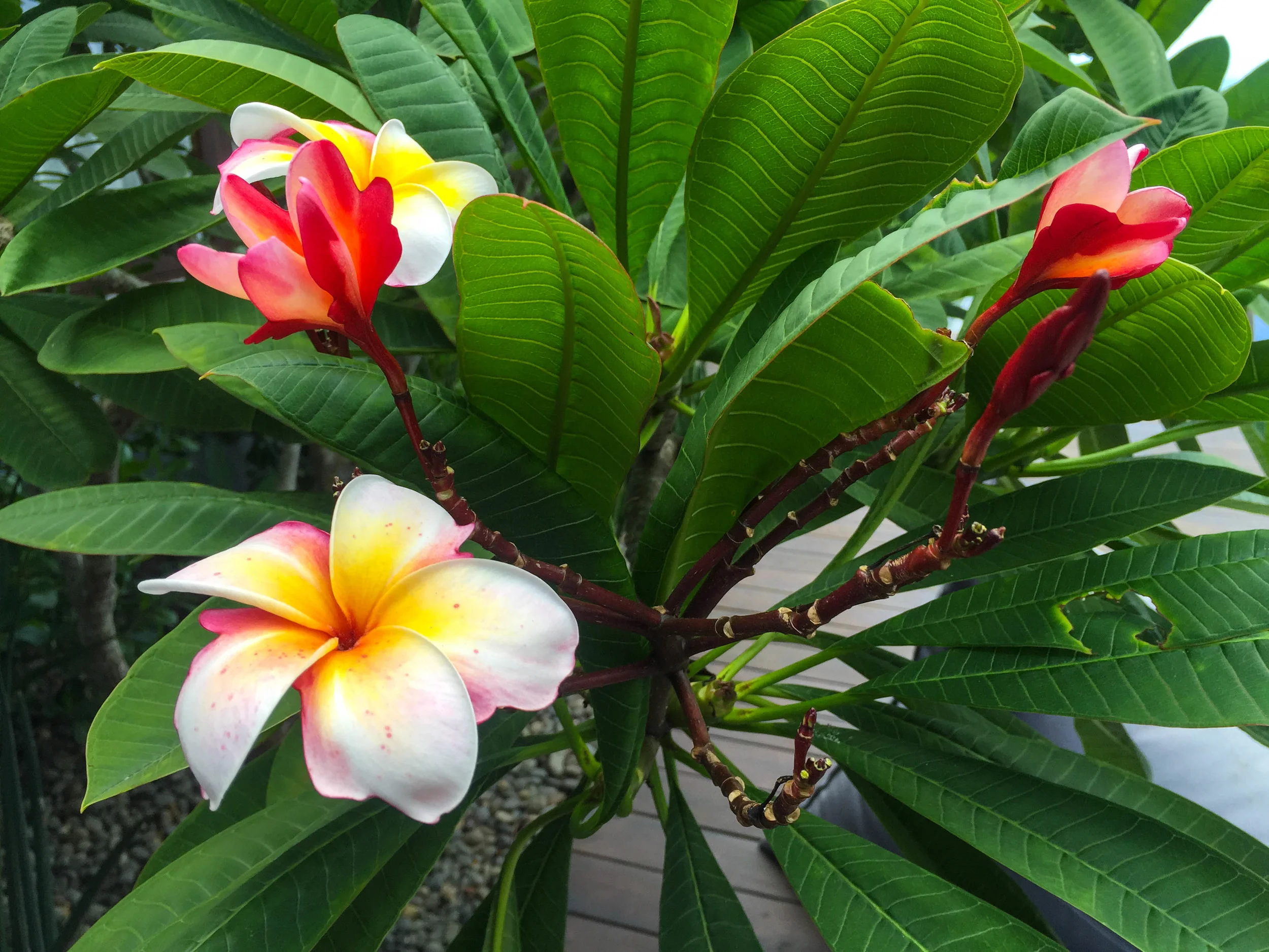 2015-09-16 10.30.09.jpg