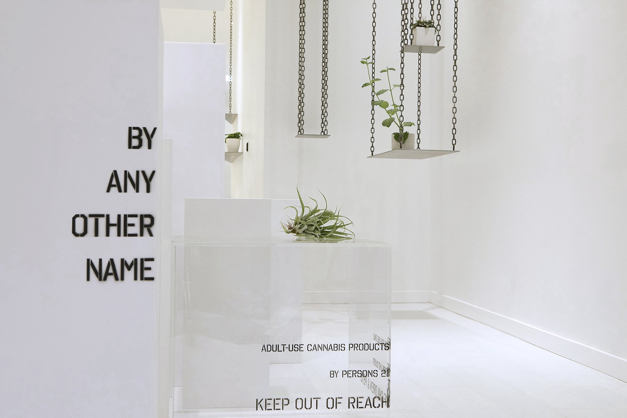 By Any Other Name (Retail) 