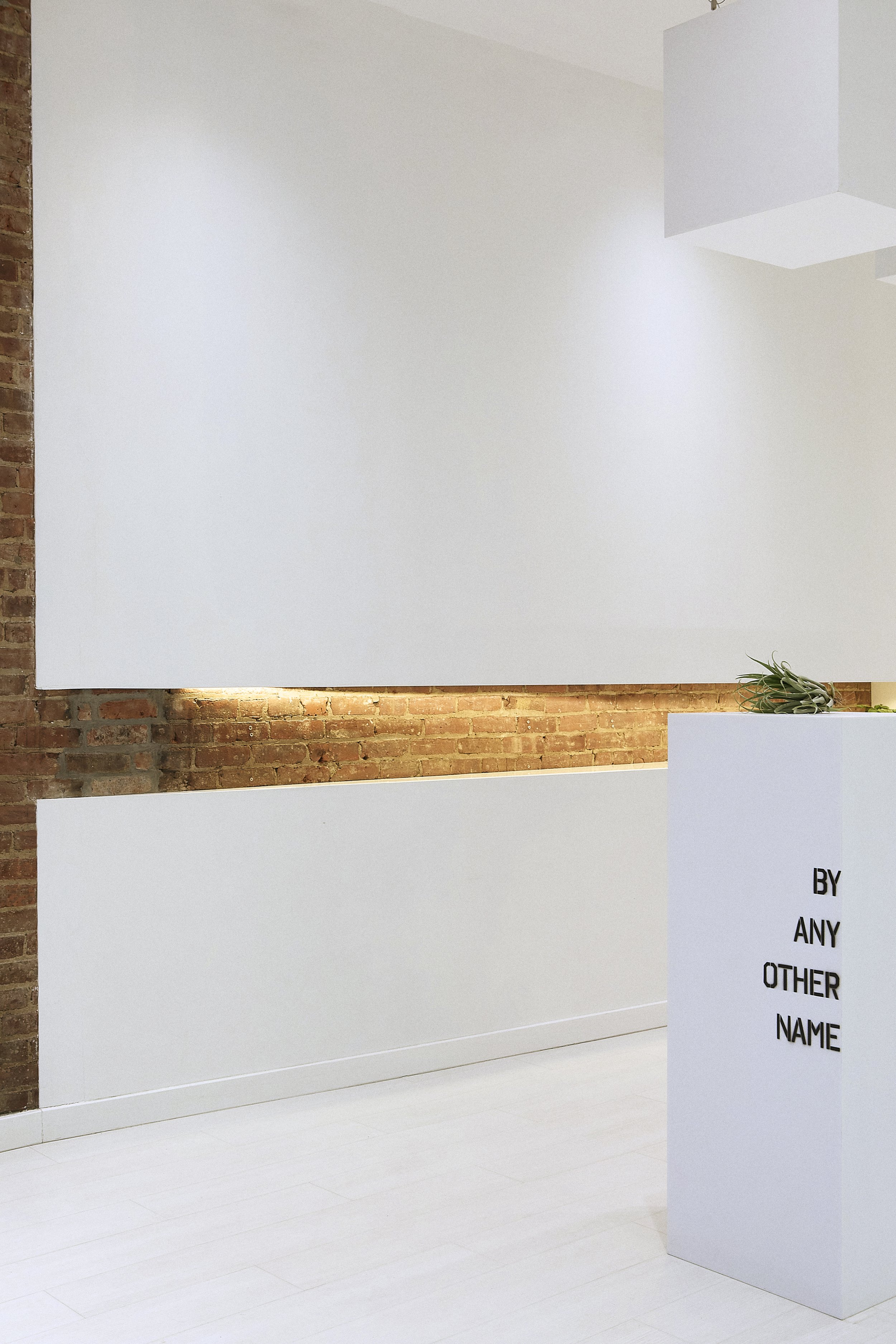  ©️2026 Ishka Designs Inc. 