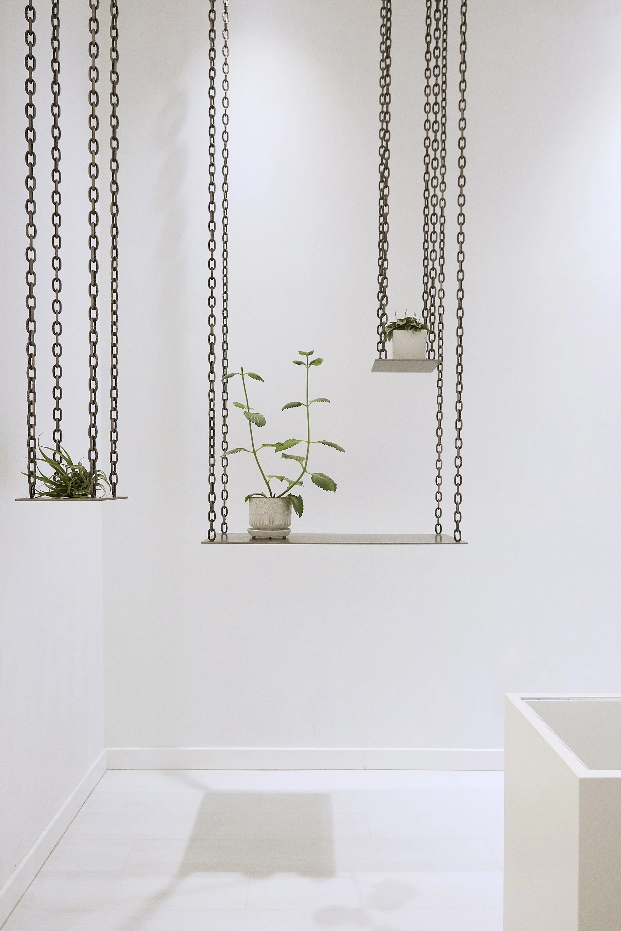  ©️2026 Ishka Designs Inc. 