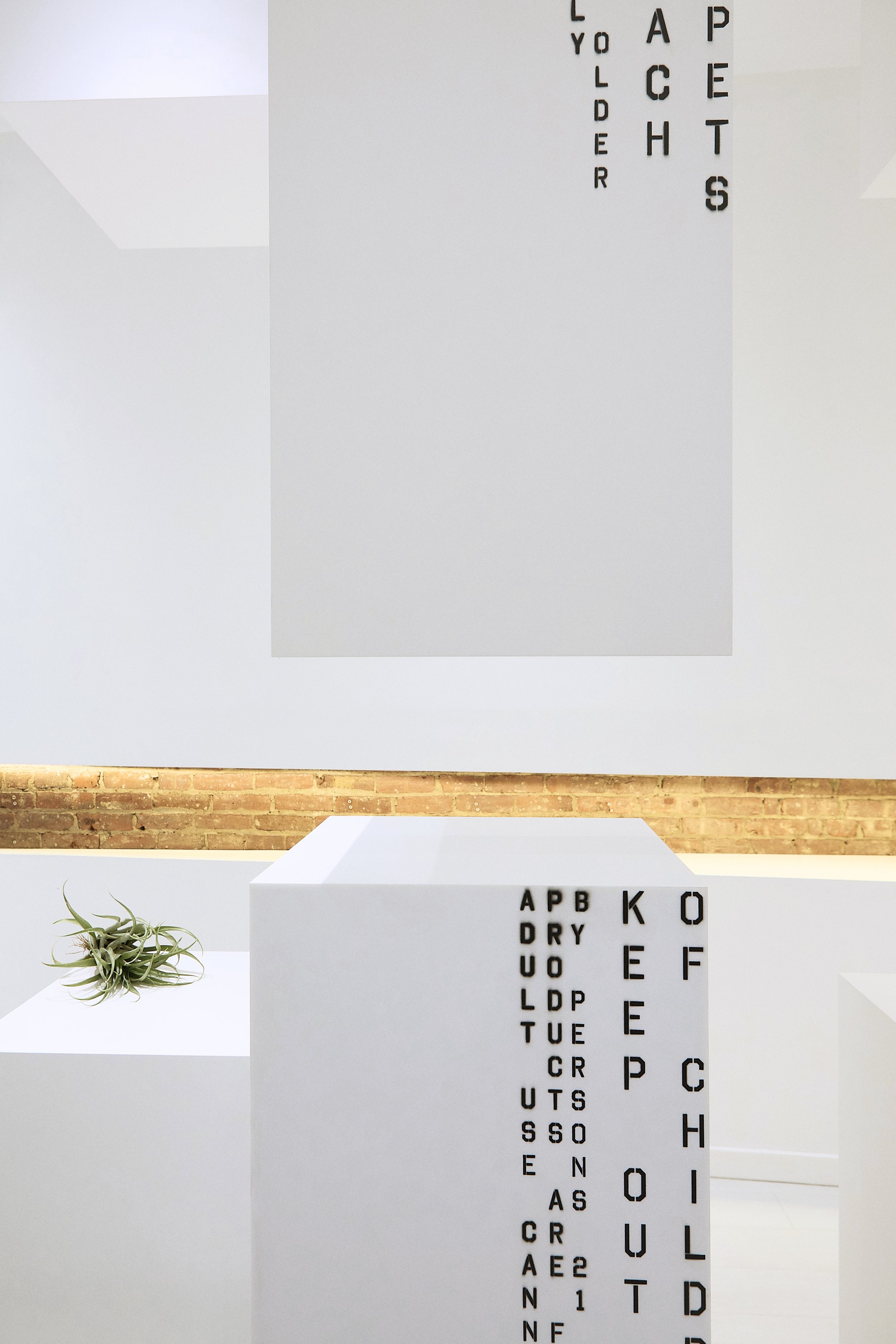  ©️2026 Ishka Designs Inc. 