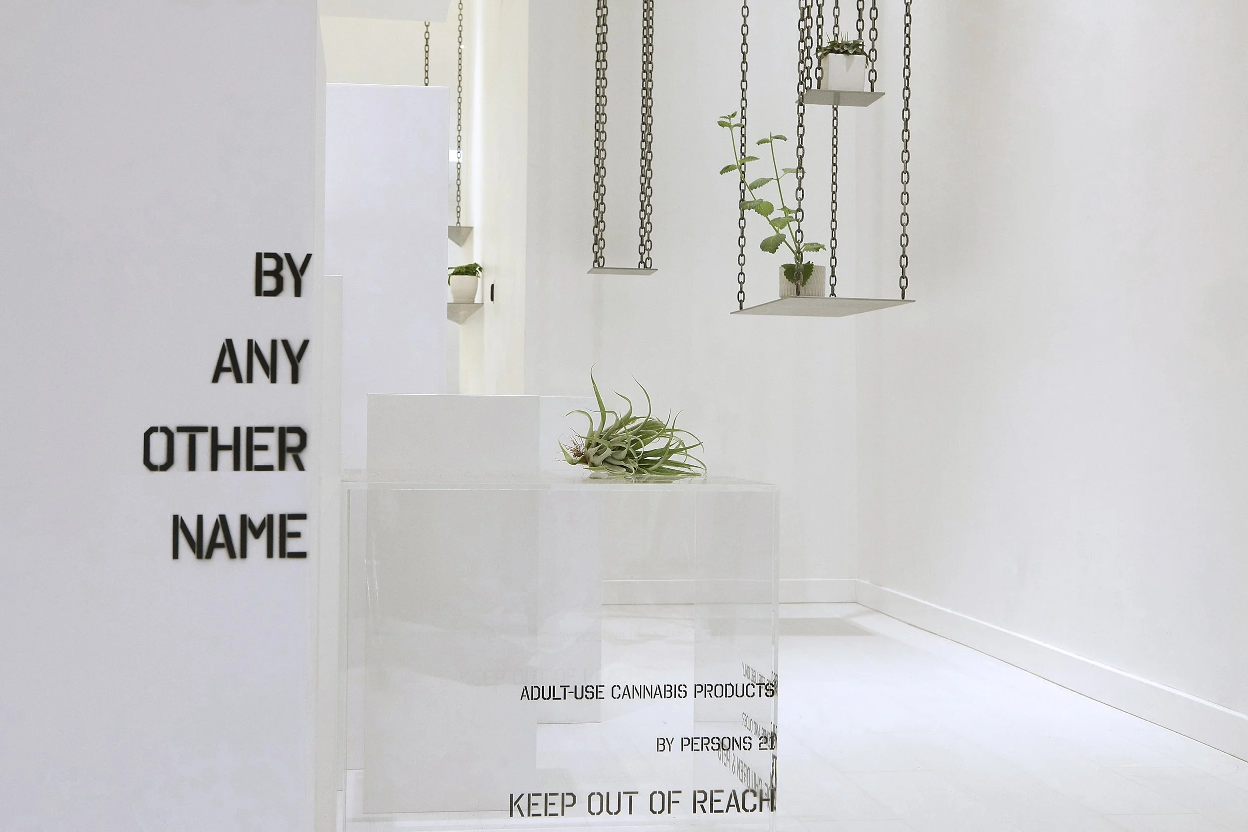  ©️2026 Ishka Designs Inc. 