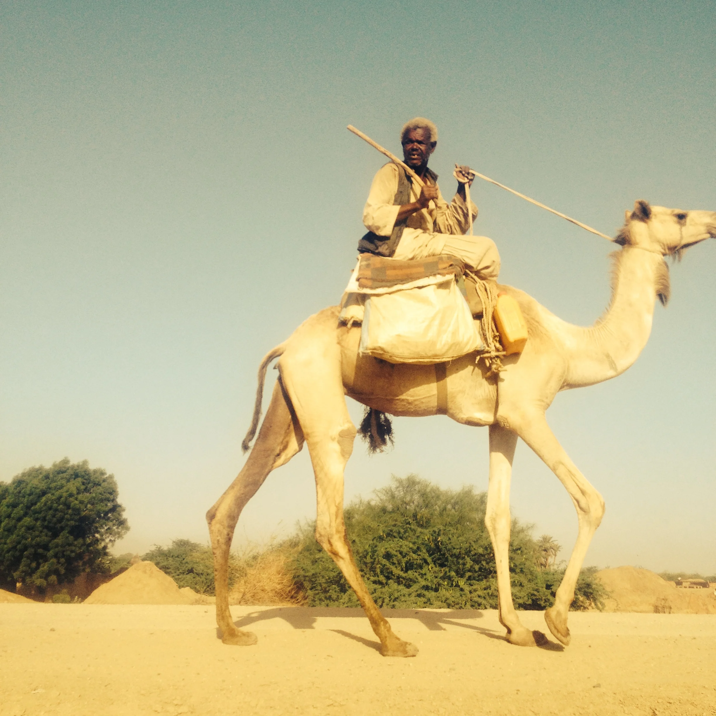 Camel herder, about 1 hour from Kassala
