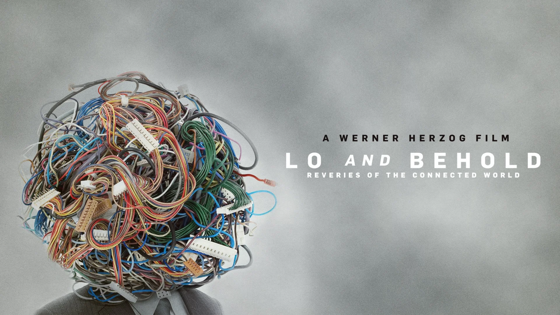 loandbehold.jpg
