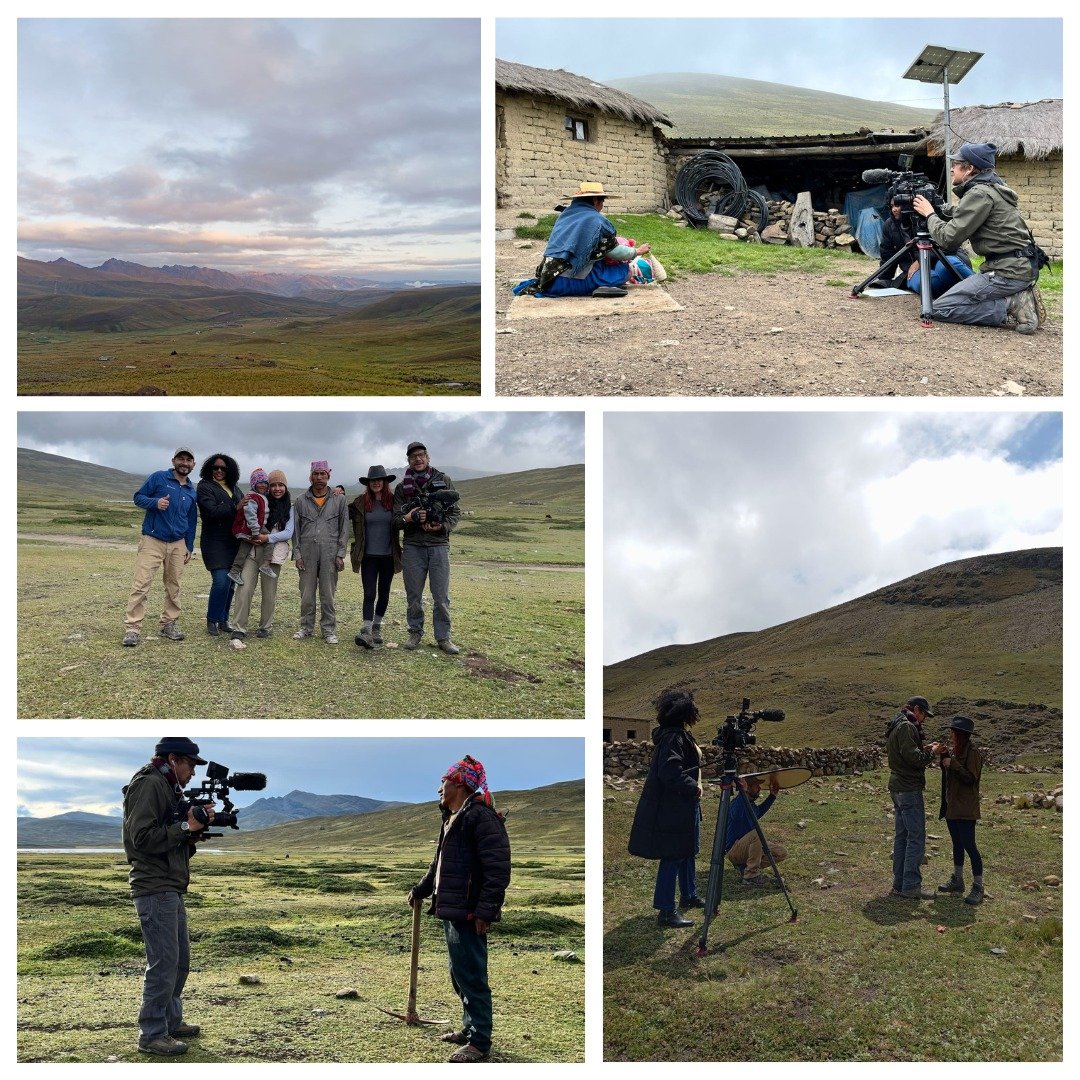 BTS  of the shoot for a  documentary shot in the cloud mountains above Cochabamba in Bolivia. This was for BBC Future Planet and a series on 'Climate Guardians'.

Classed as a vulnerable species, the Andean bear suffers from habitat loss and conflict