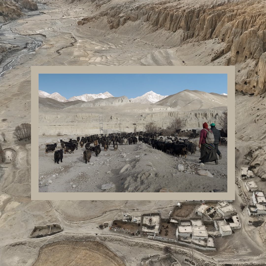 Happy New Year 2025 ! We start by looking back - I loved working on this doc with director Shanta Nepali in Nepal. Here&rsquo;s to a productive year making films internationally