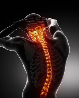 Chiropractic Care