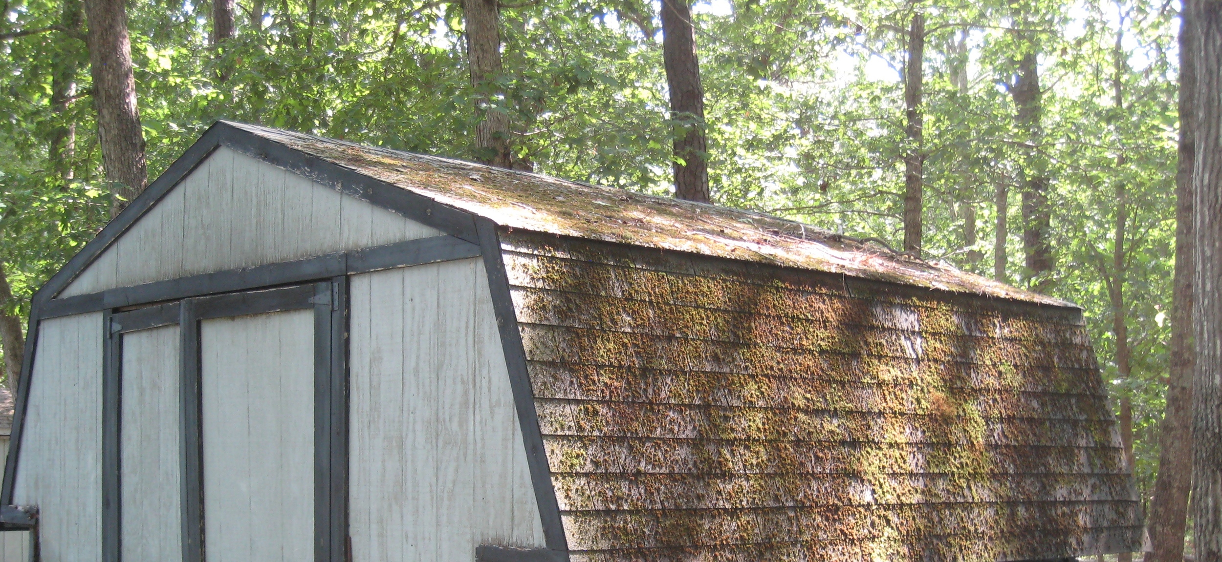 8b roof cleaning pic.JPG