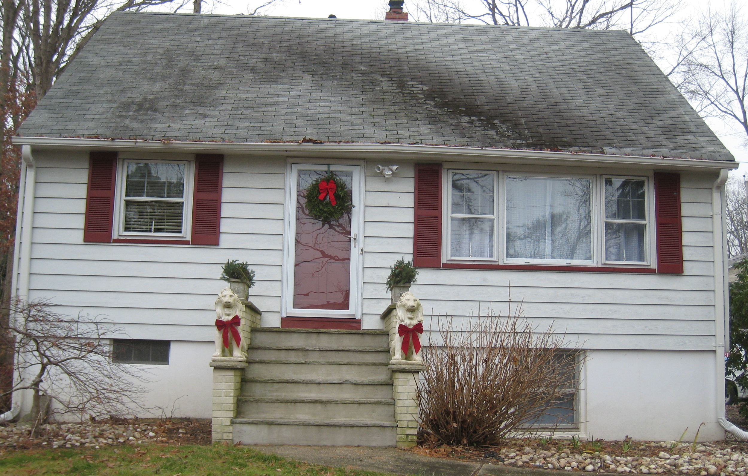 9a roof cleaning pic.JPG