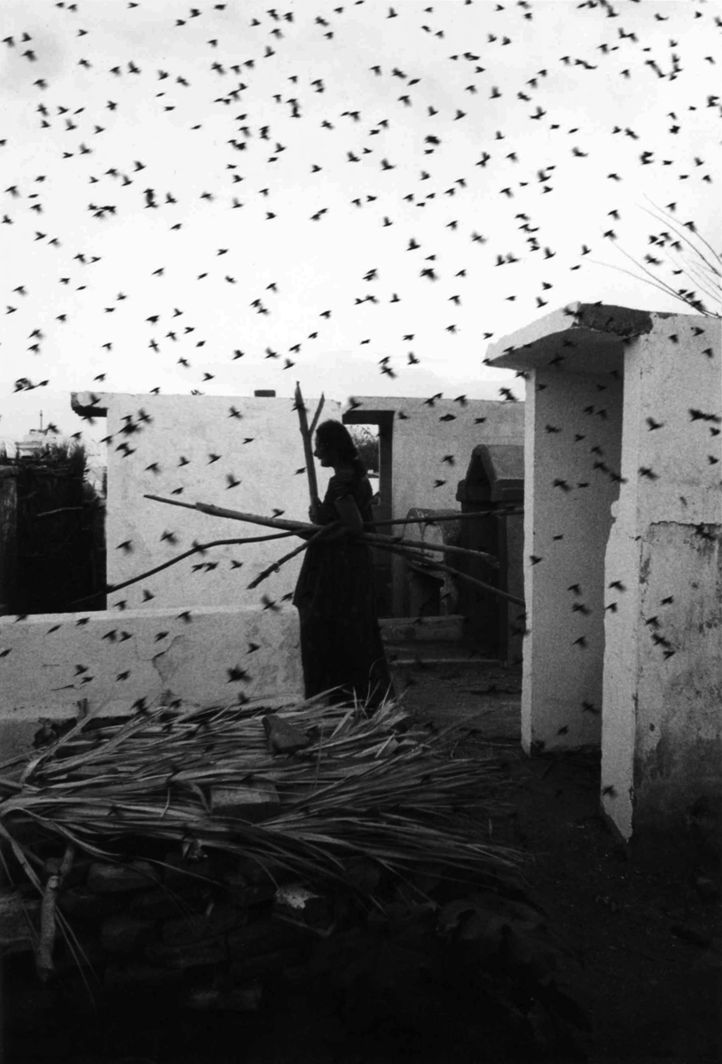Iturbide_Cemetery_Juchitan_1988.jpg