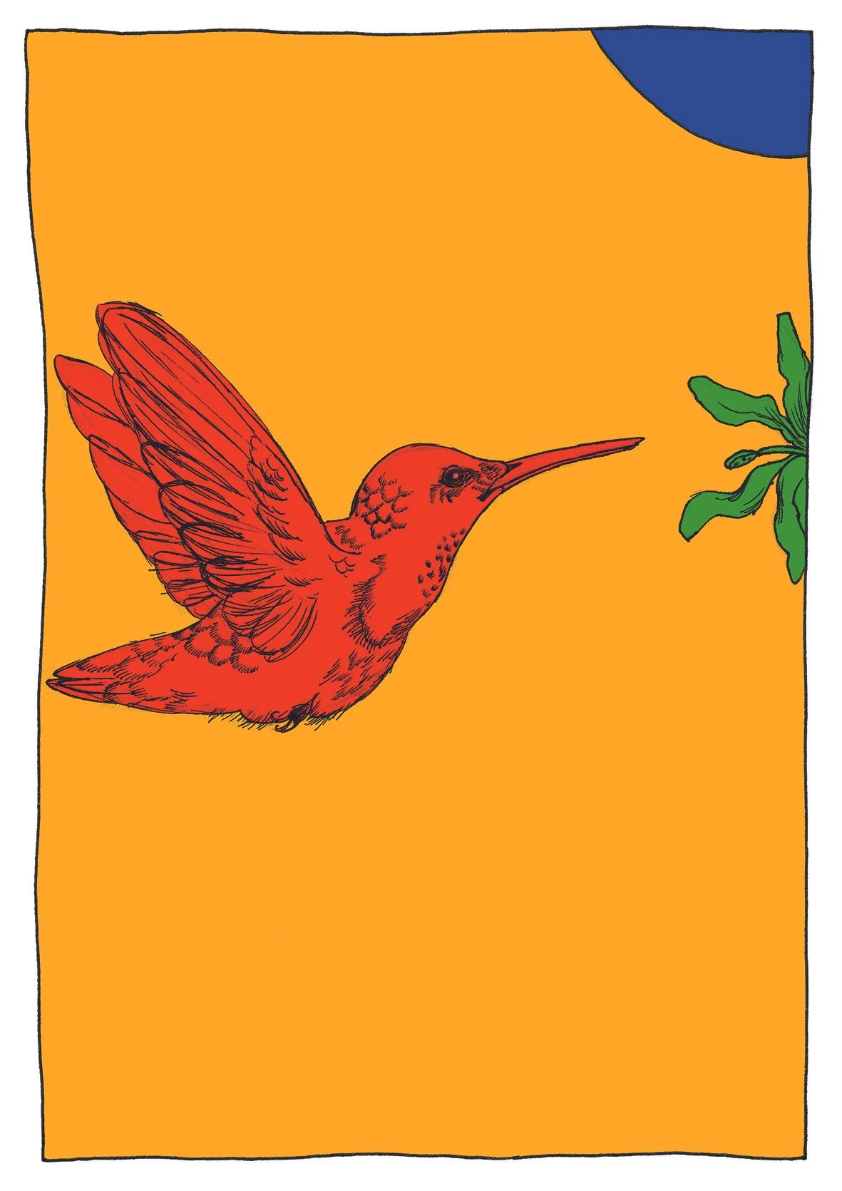 Hummingbird25.jpg