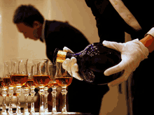 malt whisky tips.gif
