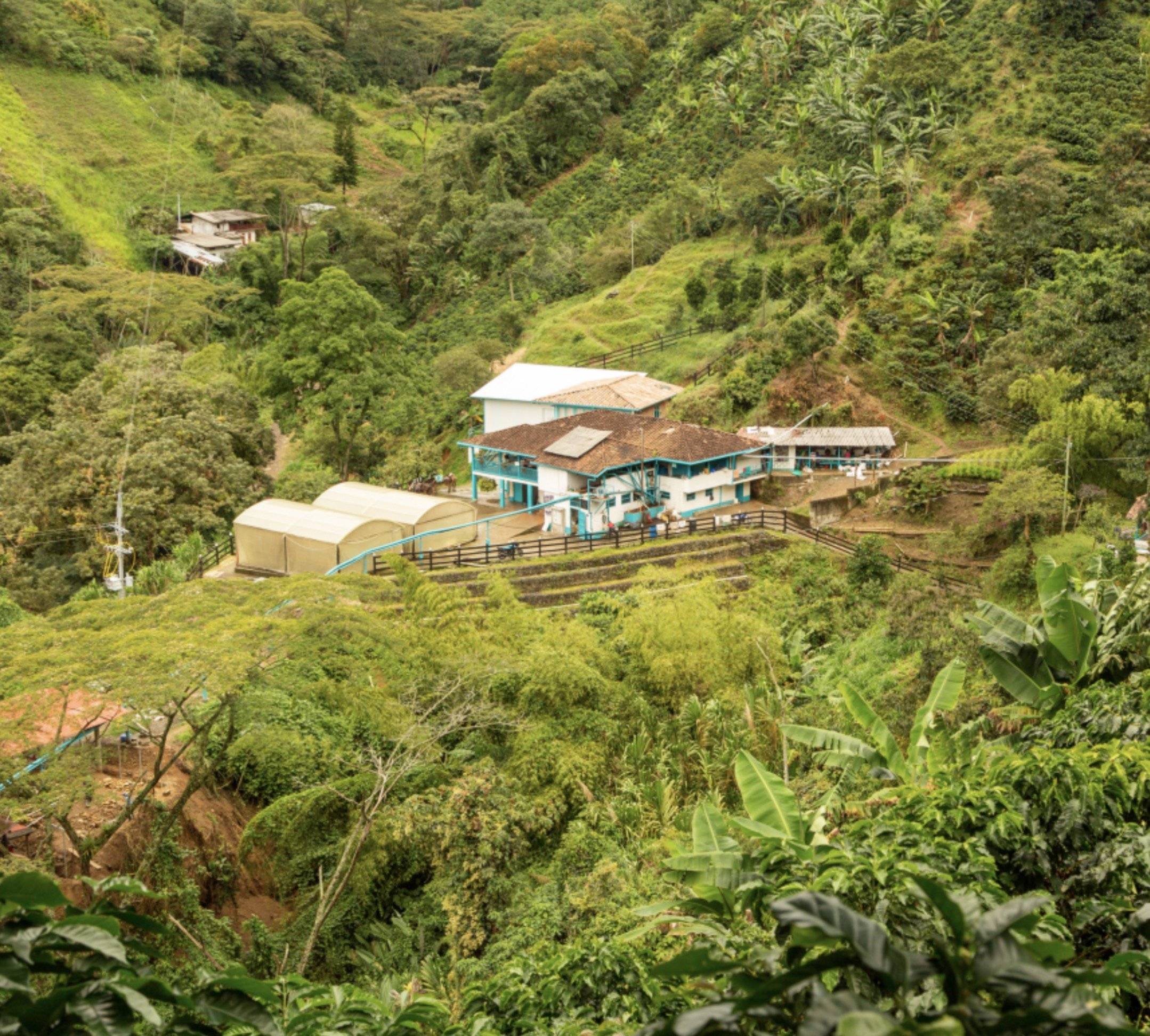 Screenshot 2023-12-04 at 10.08.28 AM.jpg