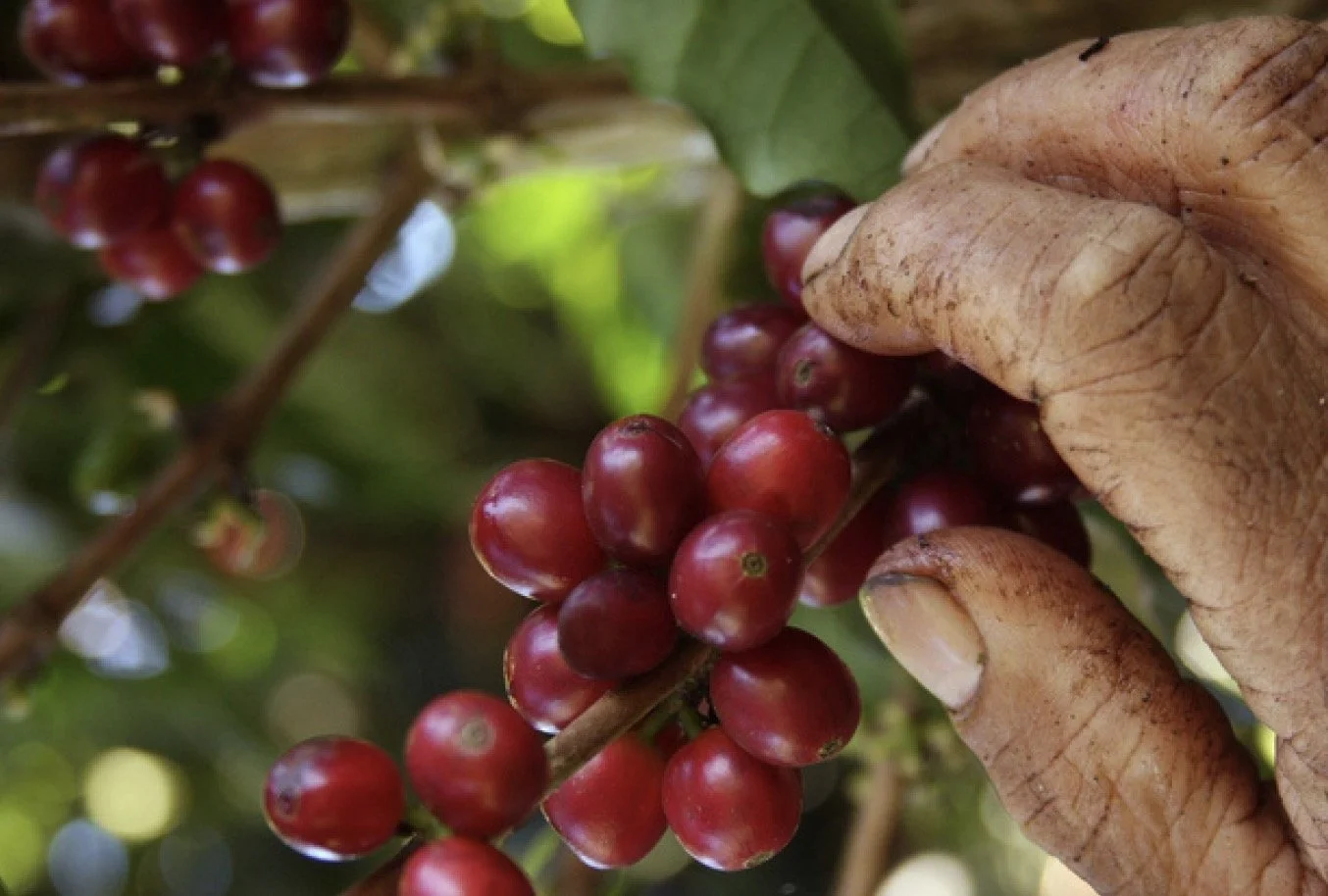 Screenshot 2024-09-26 at 3.01.08 PM.jpg