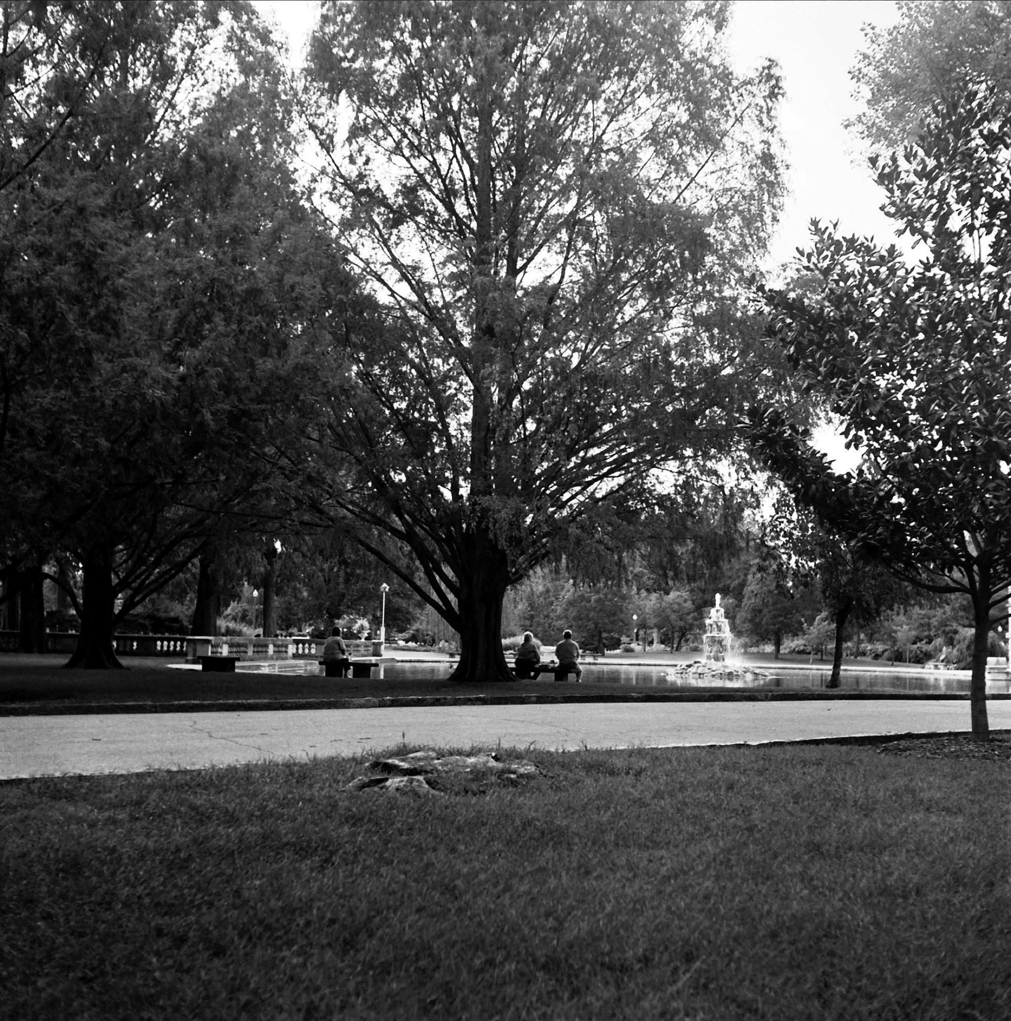 Saint Louis, MO. 2014
