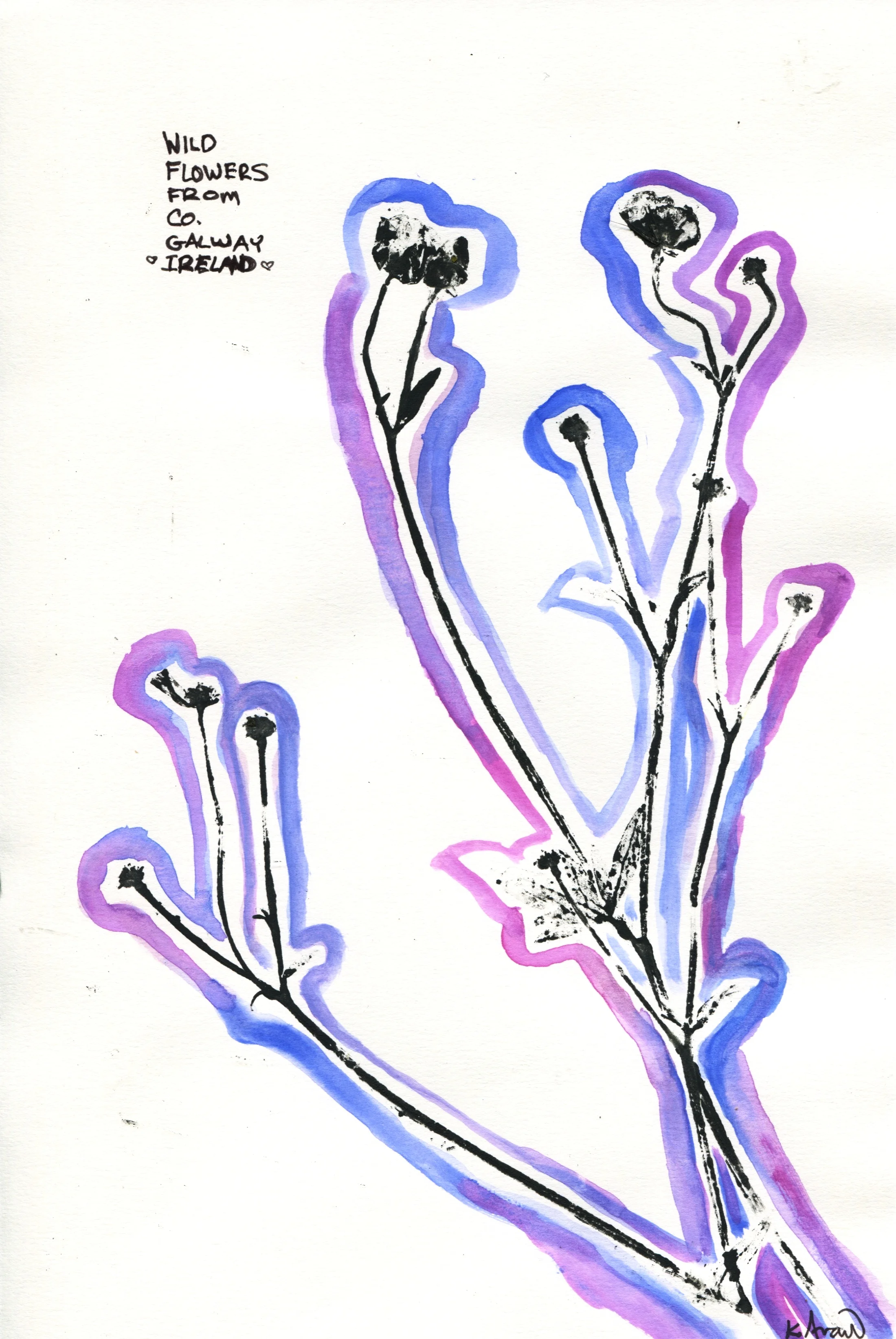 wildflowers print.jpeg