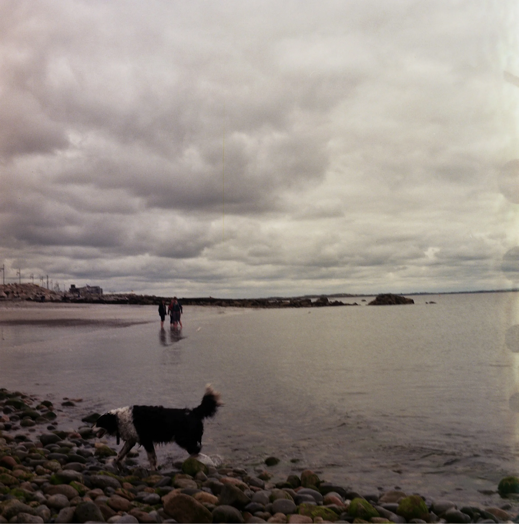 Galway, Ireland 2016