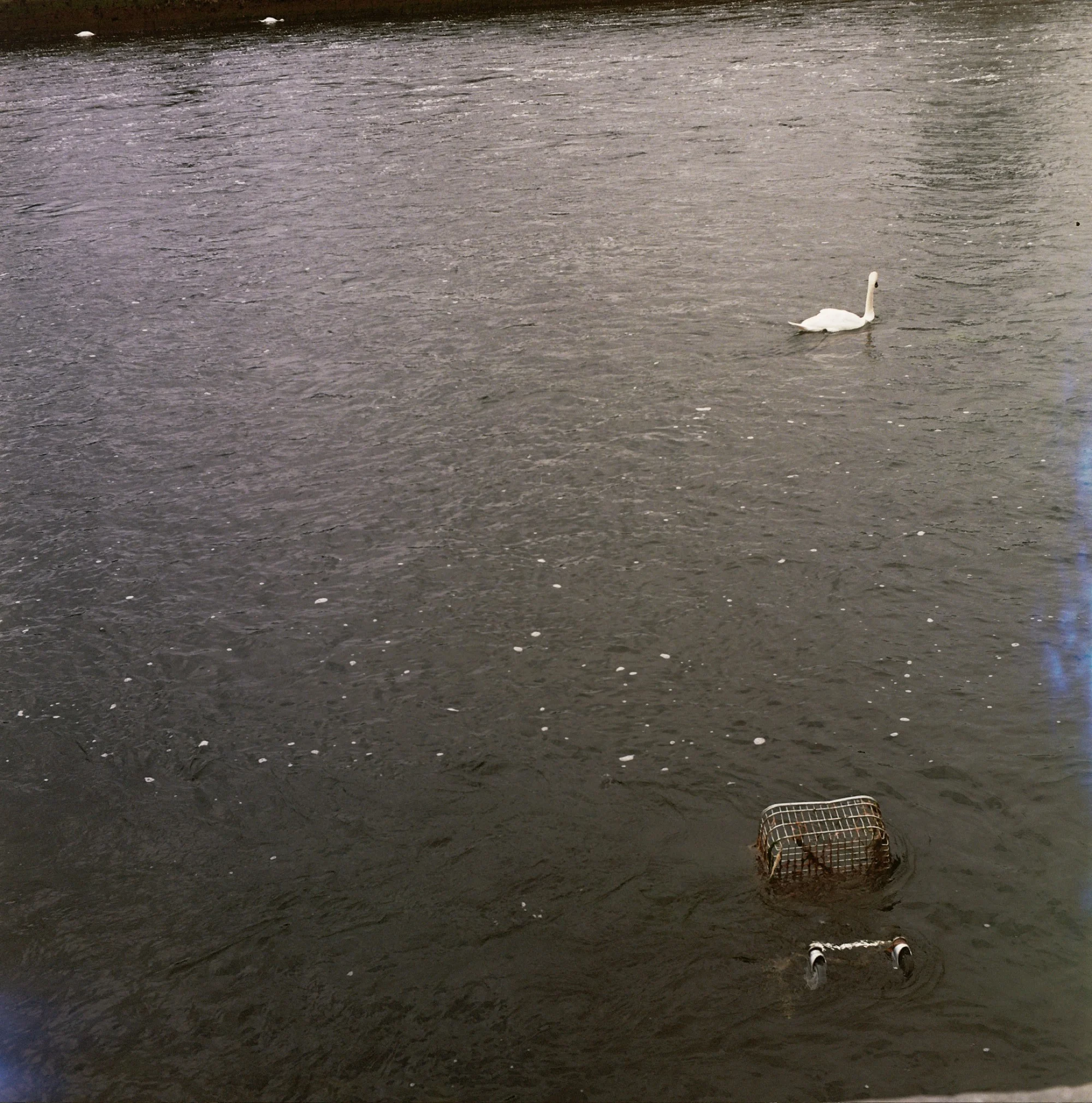 Galway, Ireland 2016