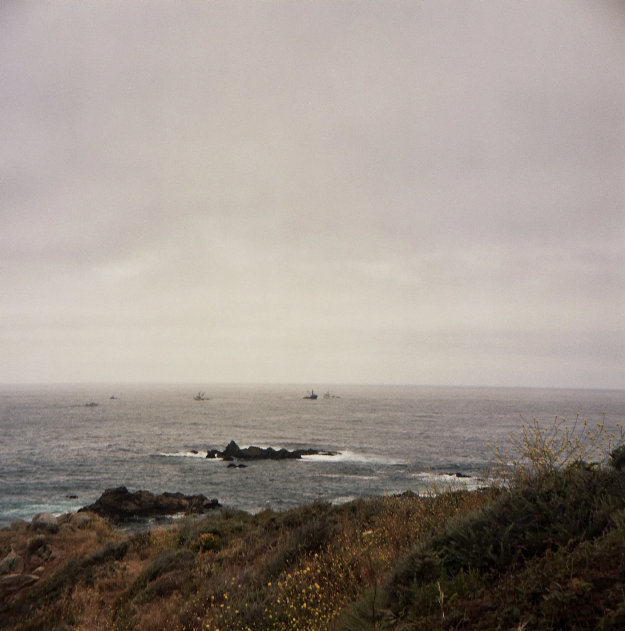 Pacific Coast Highway, California. 2017