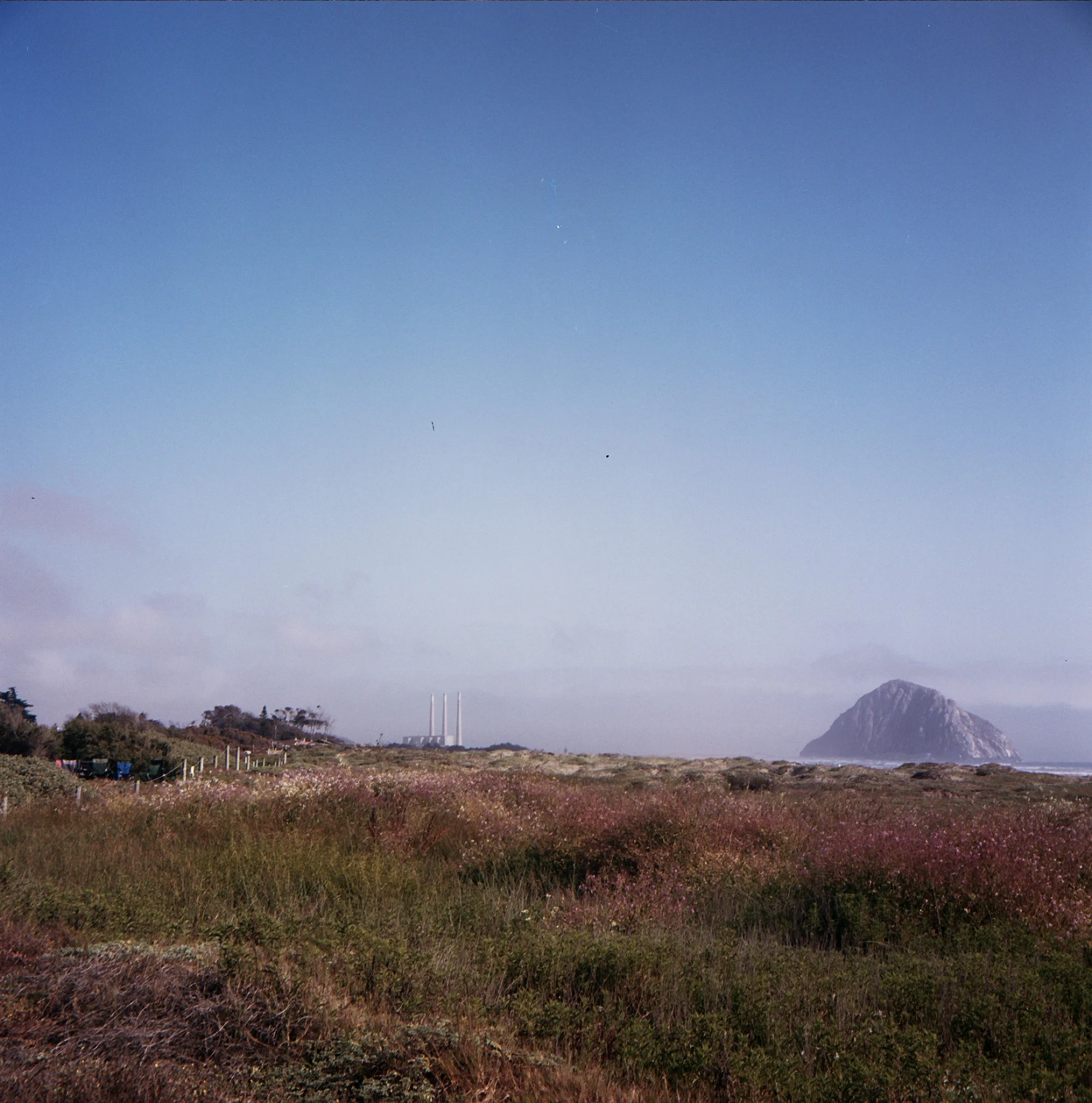 Morro Bay, California. 2017