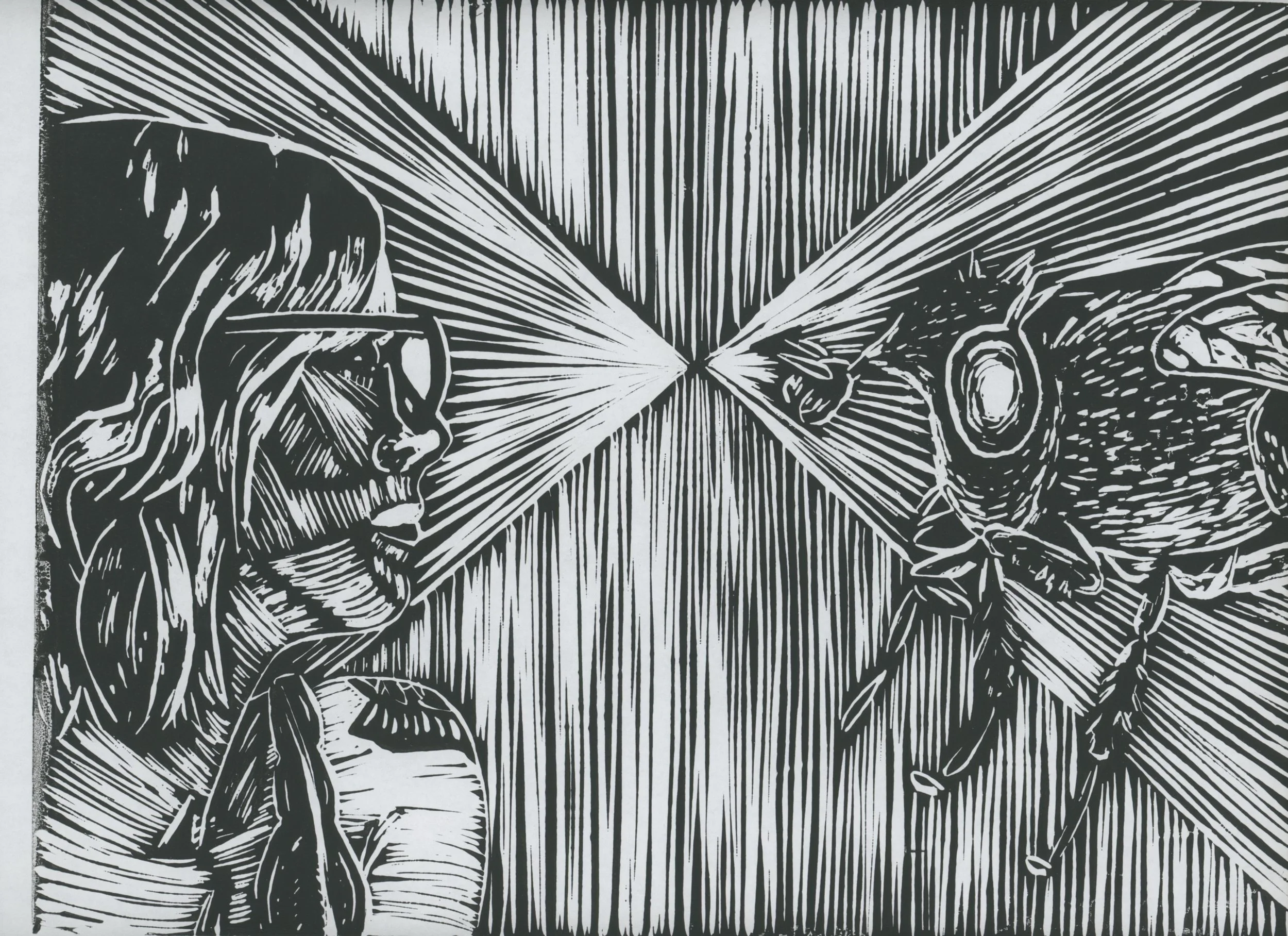 Fly Encounter