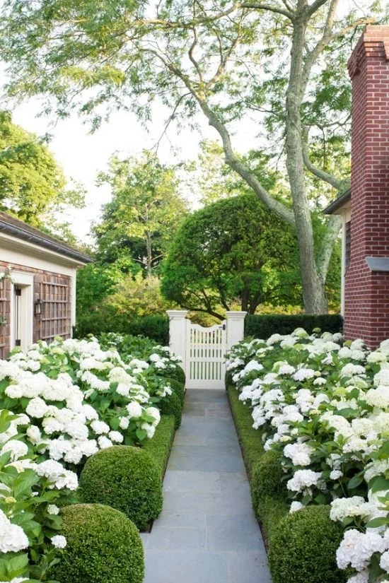 Beautiful greenery carving a pathway to this charming gate. I love the idea of using hedges or shrubbery to create a natural fence to this side yard.