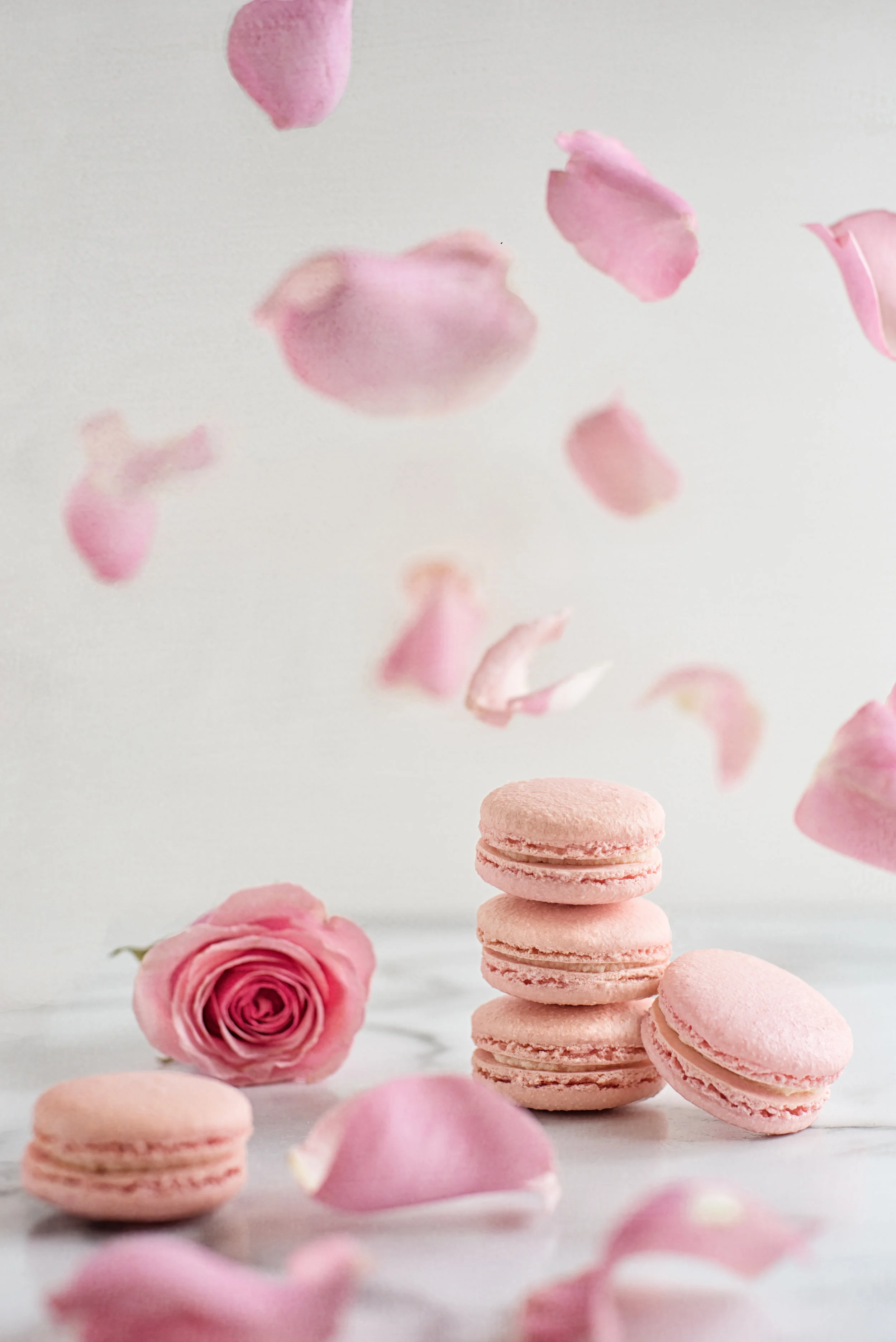 MacaronBar_Rose.jpg