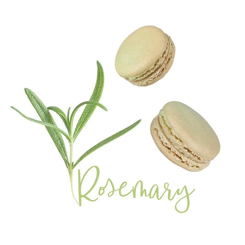 Rosemary is back for a limited time! This seasonal macaron combines luscious white chocolate ganache with subtle, herbaceous Spanish rosemary for a seasonal favorite. Get yours before Thanksgiving!

#macaronbar #rosemary #macaron