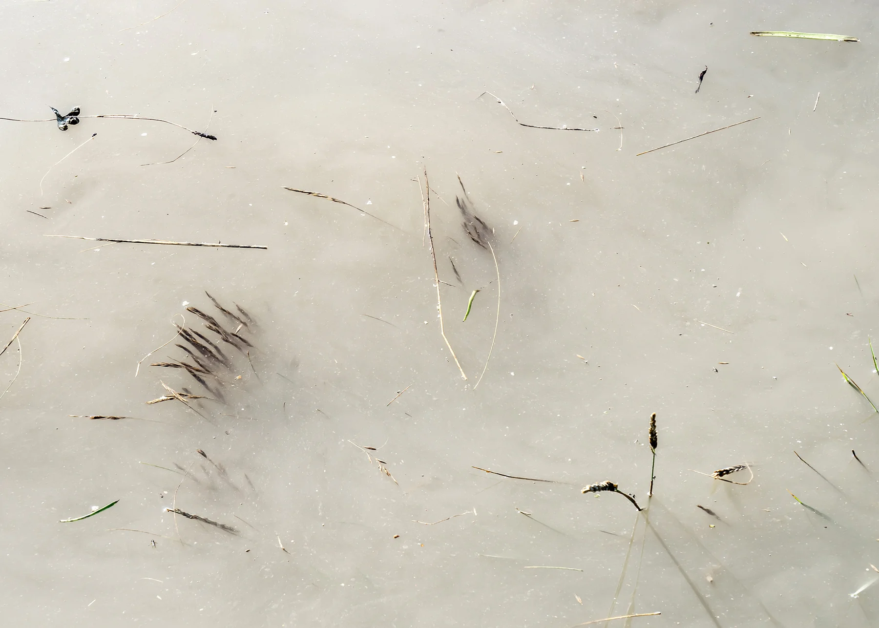 fluid-6045.jpg