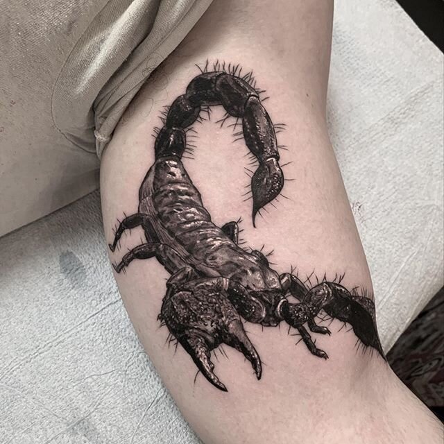 Scorpion 🦂.
.
.
.
.
.
.
.
.
.
.
#tattooing #inkedup #inked #inkedlife#tat#tats#tattooing#tattooer#tatoo #scorpiontattoo #scorpion#blackwork#blackandgrey#realistictattoo #realism#goodtattoos#inkedmag #tattooideas