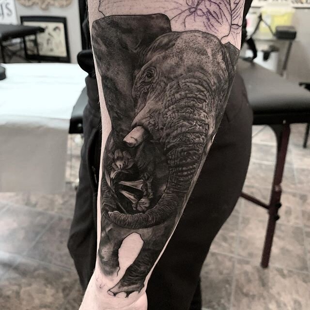 Elephant .
.
.
.
.
.
.
.
.
.
#tattooing #inkedup #inked #inkedmag#blackandgrey#elephant#elephanttattoo #realism #blackandgreytattoo #blackwork#blackandwhite #tat#tattoo#tattooing#tattooer#goodtattoos#halifax#halifaxtattoo#elephants #ink