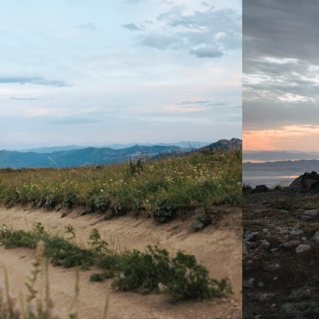 1UP_IG_ASSETS_Artboard 1 copy 7.png