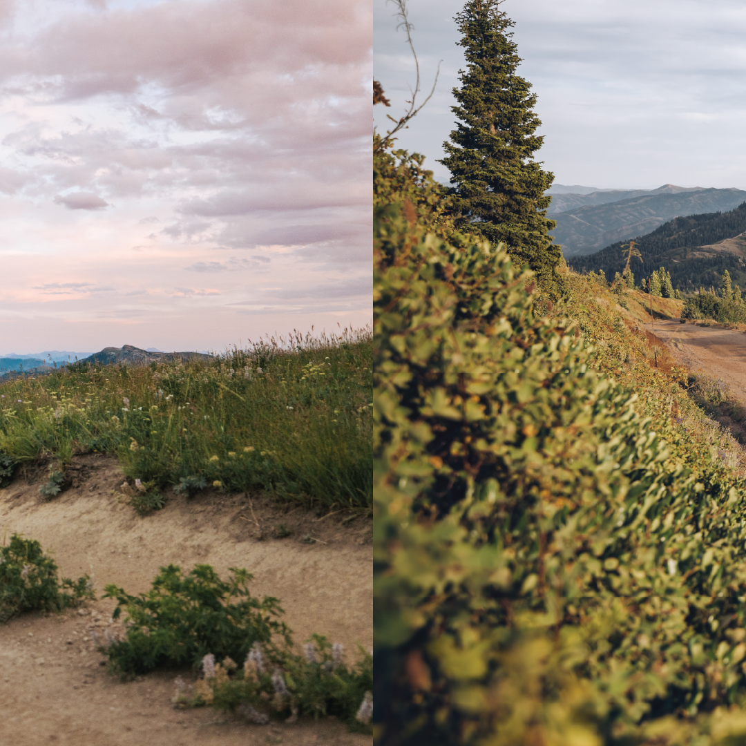 1UP_IG_ASSETS_Artboard 1 copy.png