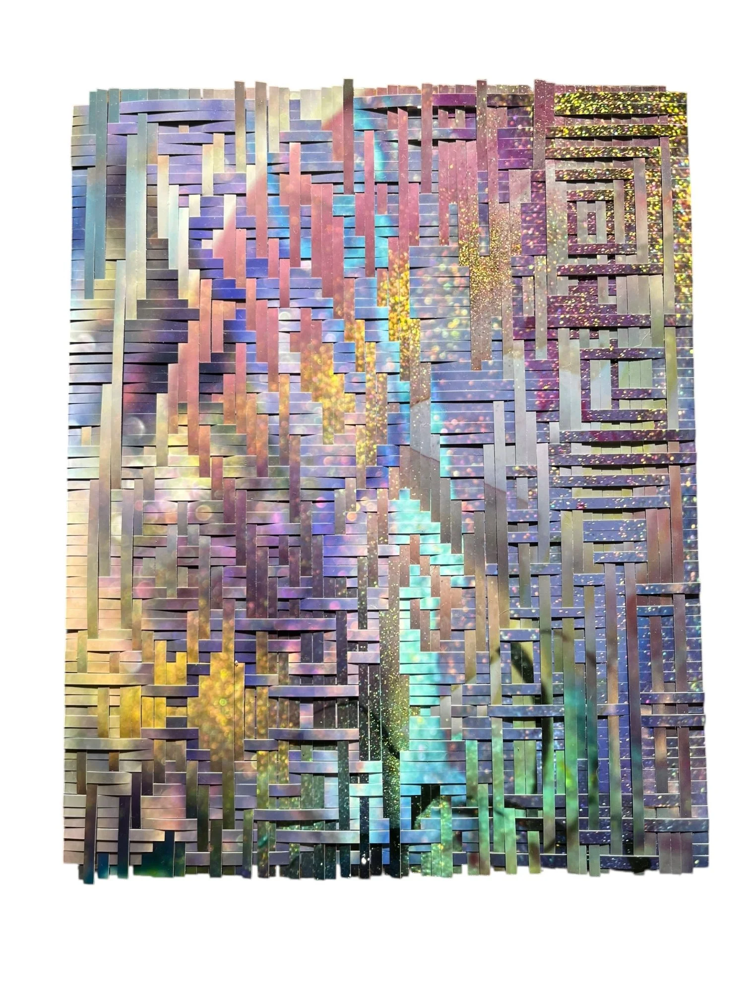 The Last Ones, 8x10" metaweave, 2.JPEG