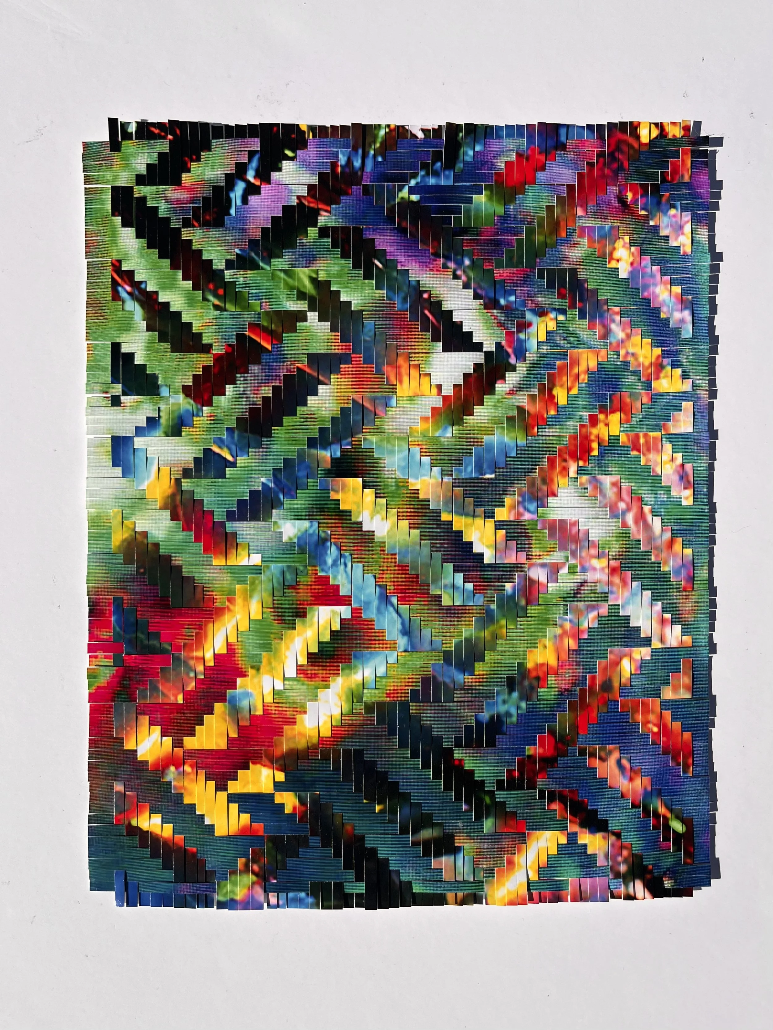 last 8x10-1-.jpg