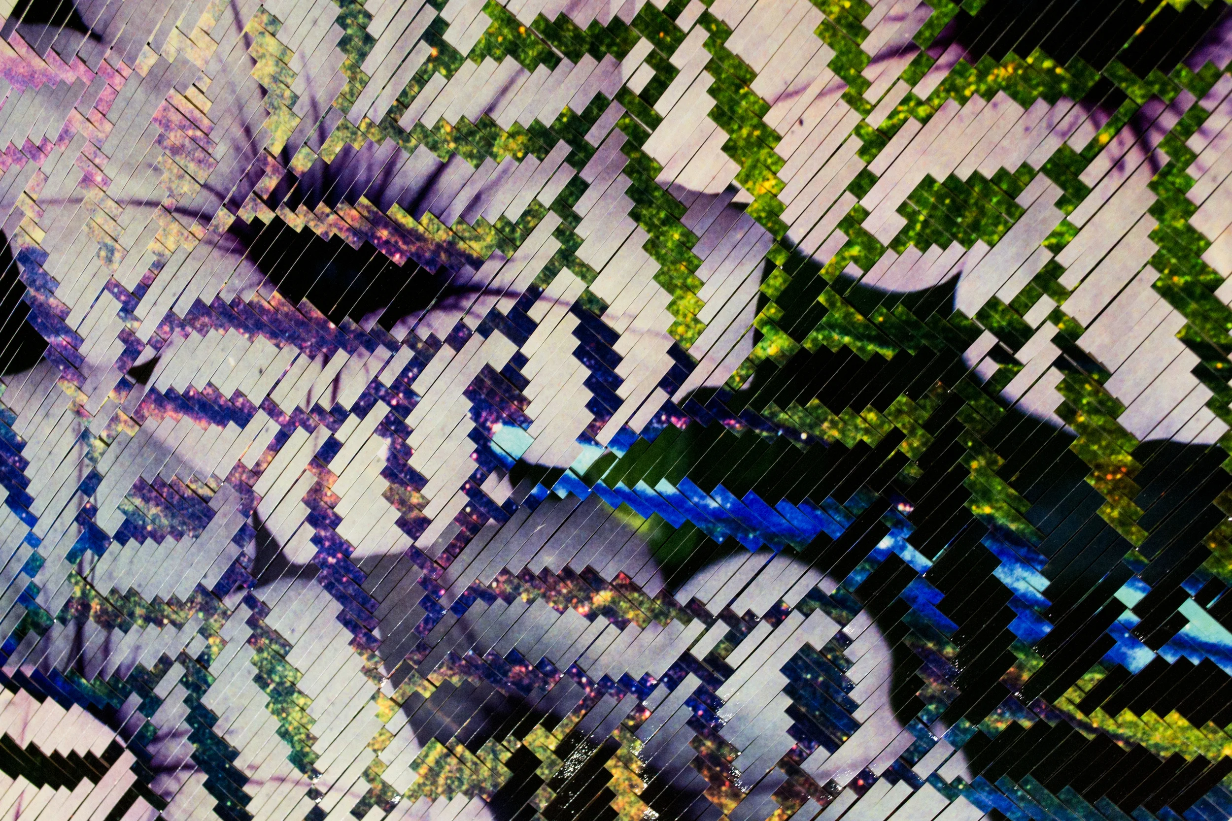 (◑‿◐).  (detail)