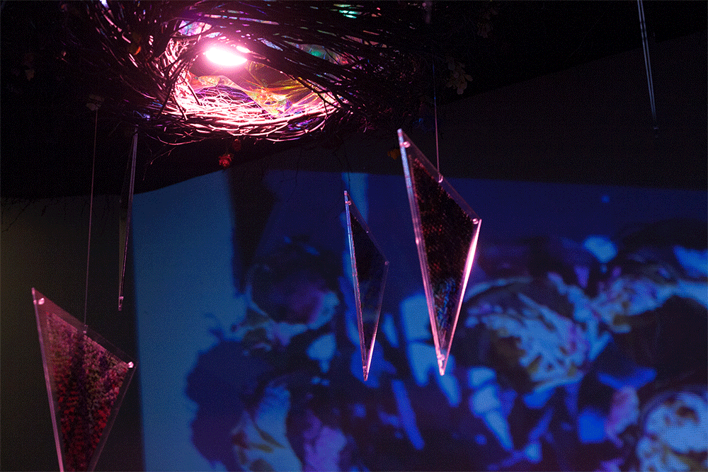 "Death is to Life as ____ is to ____."  Site Specific Installation at Castor Gallery, NYC