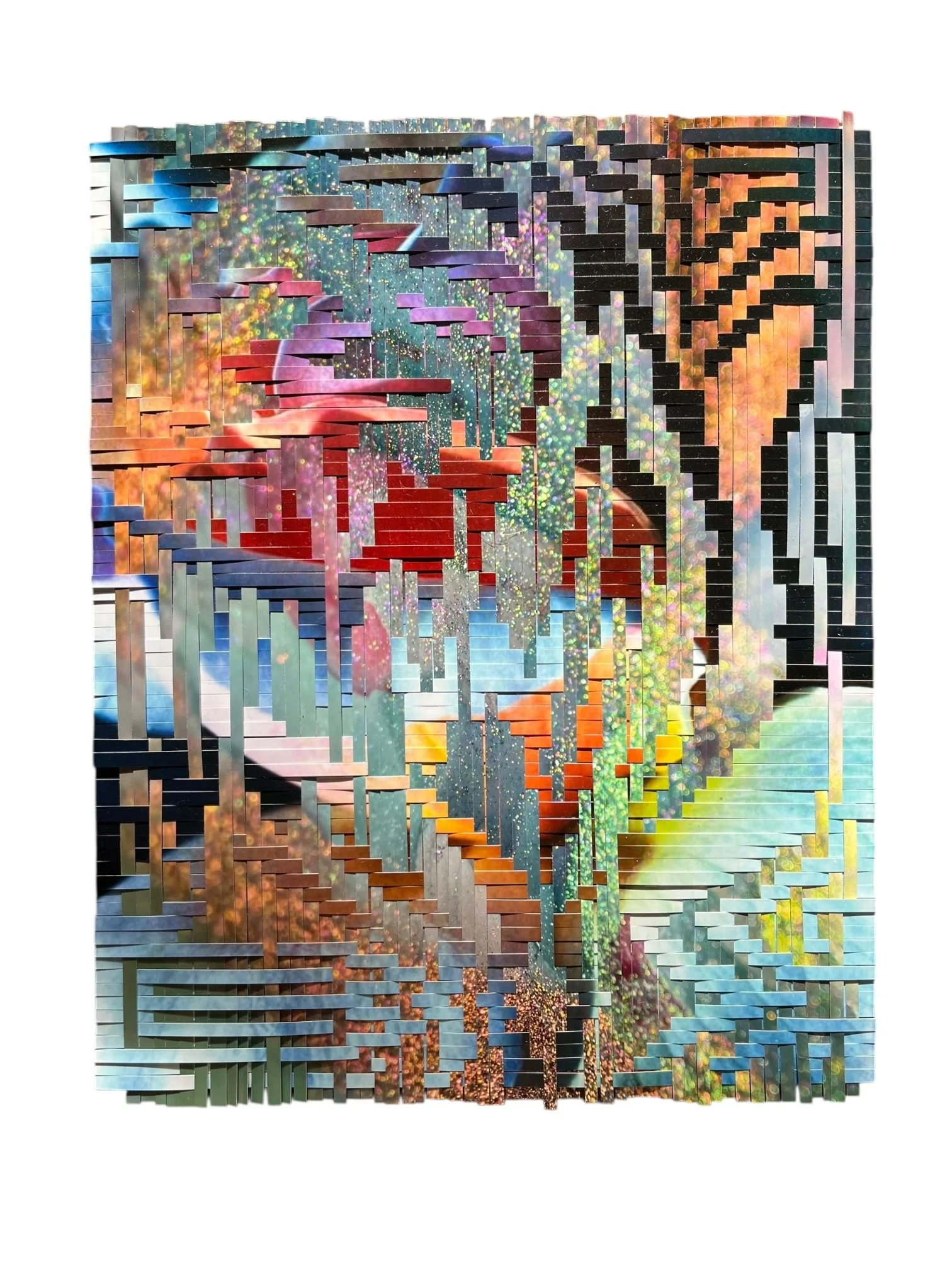 The Last Ones, 8x10" metaweave, 1.JPEG