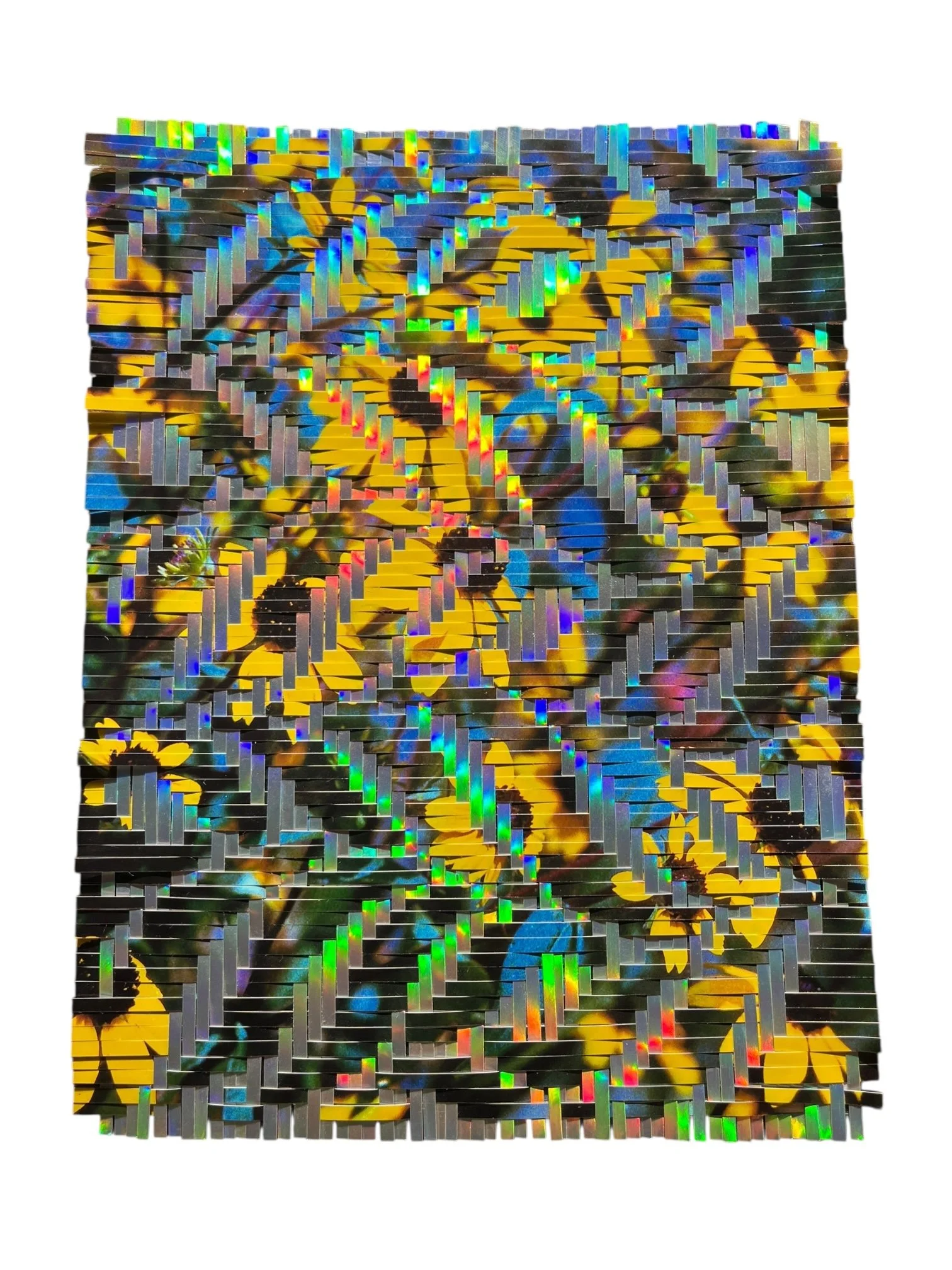 The Last Ones, 8x10" metaweave, 5.JPEG