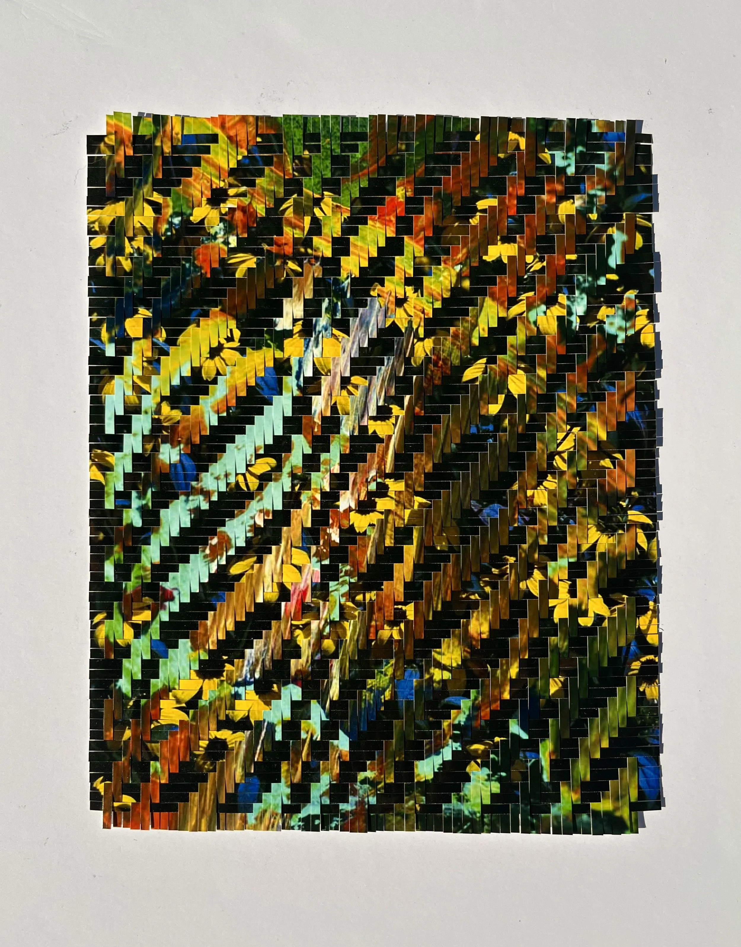 last 8x104.jpg