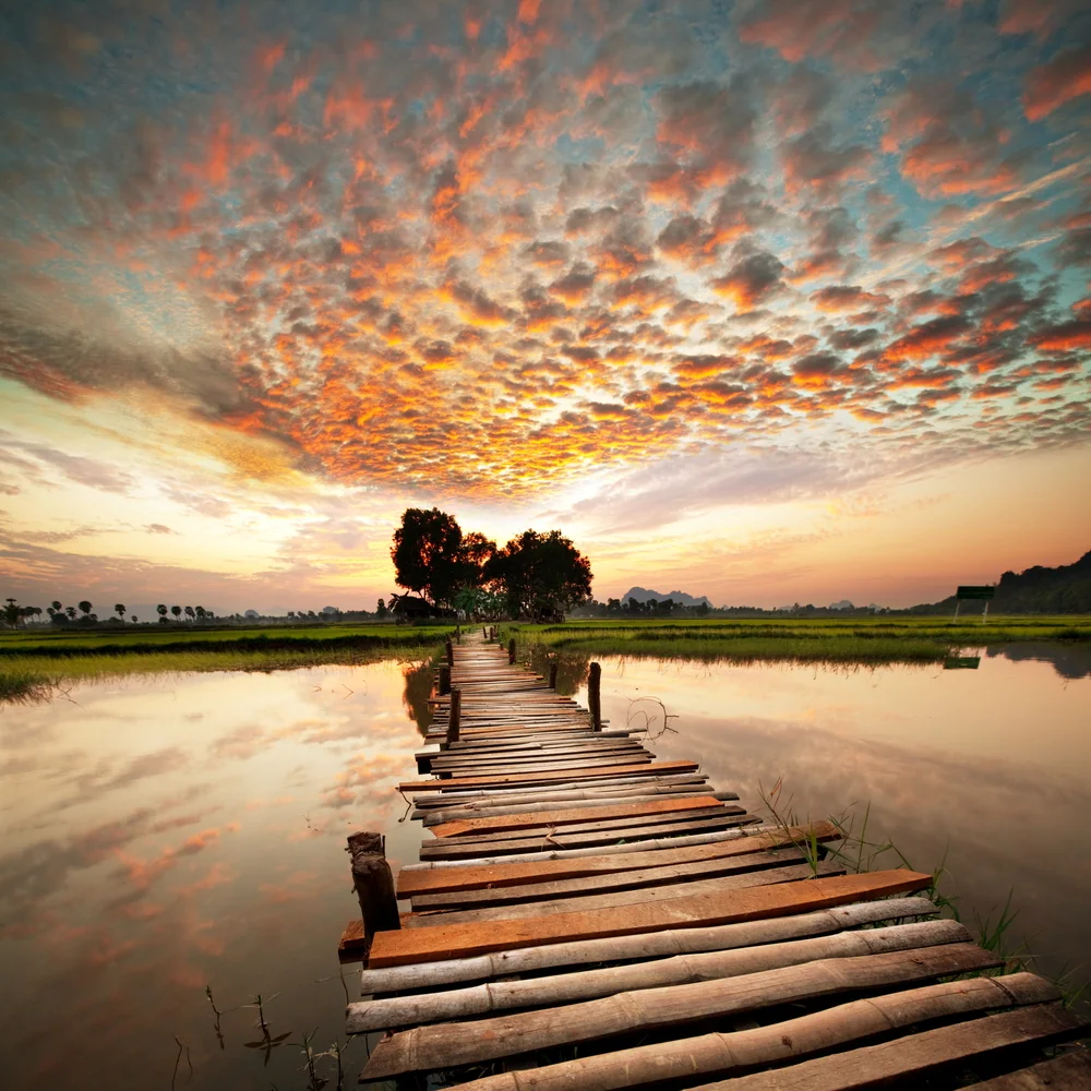 shutterstock_72082513.jpg