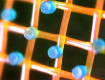 Product News Announcement Technical Information (TI) - instructions on usage and description of physical properties. For selection of direct emulsions and specific applications, click here.