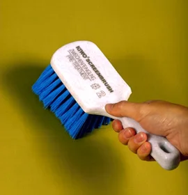 blue brush 270 pix.jpg