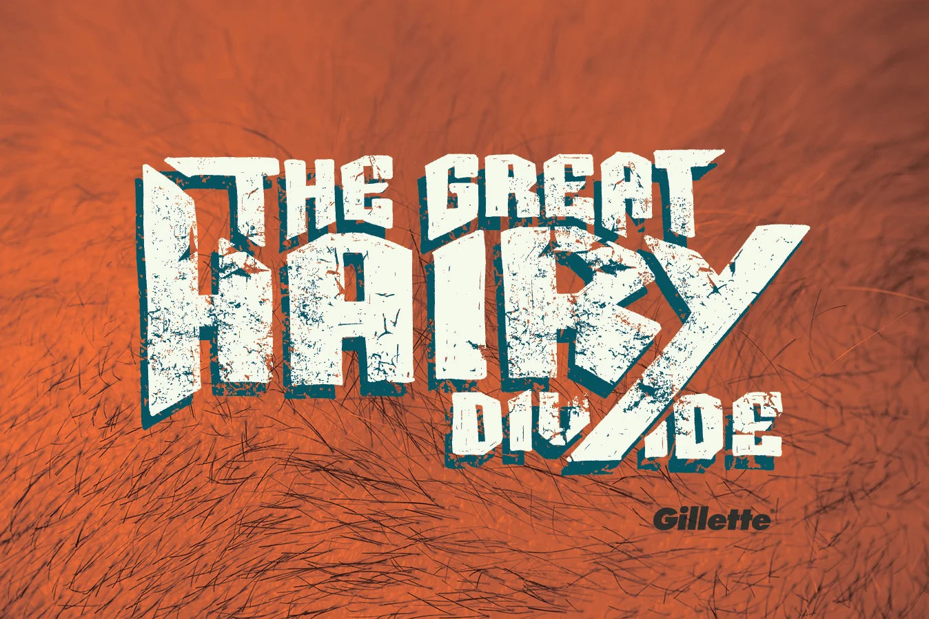 HairyDivide8Web.jpg